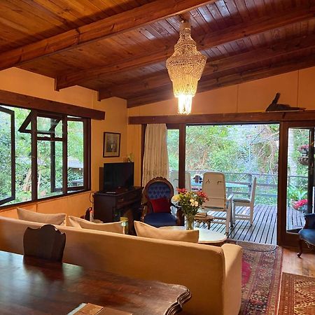 Nature'S Valley Health Retreat A Hide Away In The Forest Екстер'єр фото