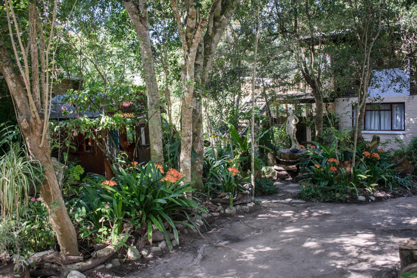 Nature'S Valley Health Retreat A Hide Away In The Forest Екстер'єр фото